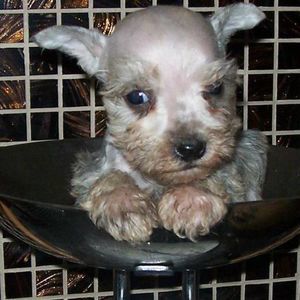 Meet your Posher, Beth